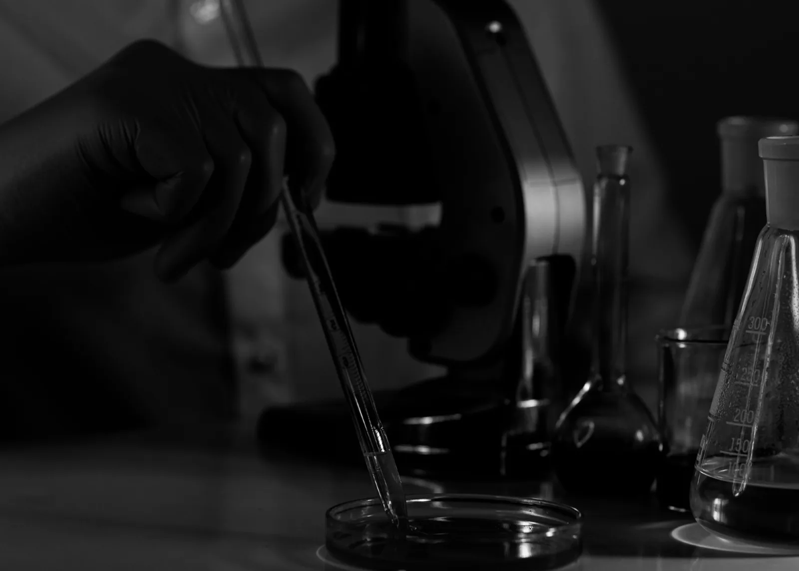Etapa de manipulação em ambiente laboratorial